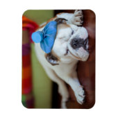 Getty Afbeeldingen | Zick Young Puppy Magneet (Verticaal)