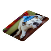 Getty Afbeeldingen | Zick Young Puppy Magneet (Linkerzijde)