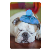 Getty Afbeeldingen | Zick Young Puppy Mini Klembord (Achterkant)