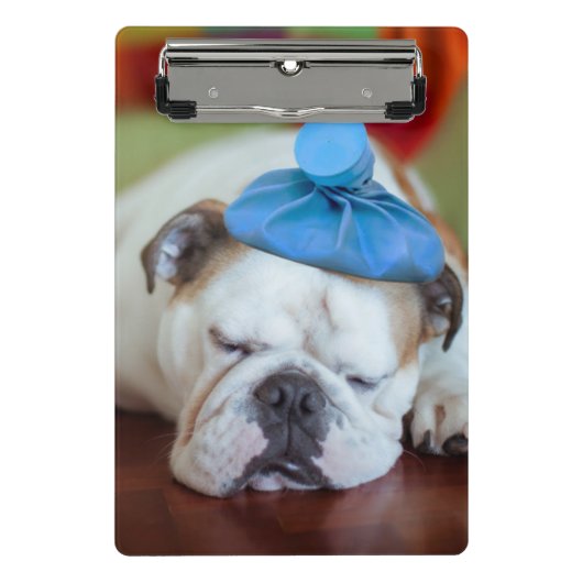 Getty Afbeeldingen | Zick Young Puppy Mini Klembord (Voorkant)