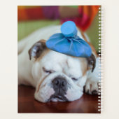 Getty Afbeeldingen | Zick Young Puppy Planner (Achterkant)