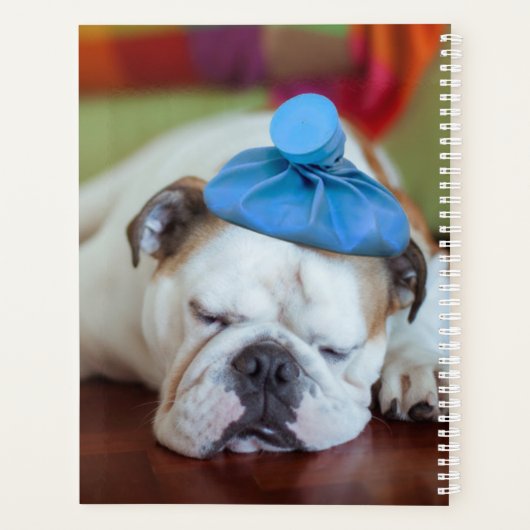 Getty Afbeeldingen | Zick Young Puppy Planner (Achterkant)