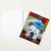 Getty Afbeeldingen | Zick Young Puppy Planner (Display)