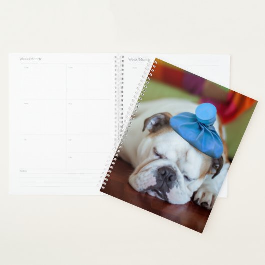 Getty Afbeeldingen | Zick Young Puppy Planner (Display)