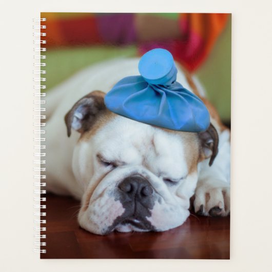 Getty Afbeeldingen | Zick Young Puppy Planner (Voorkant)