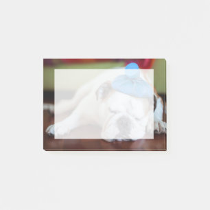 Getty Afbeeldingen Zick Young Puppy Post-it® Notes
