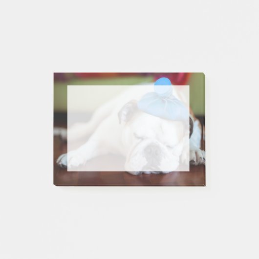 Getty Afbeeldingen | Zick Young Puppy Post-it® Notes (Voorkant)
