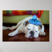 Getty Afbeeldingen | Zick Young Puppy Poster (Voorkant)