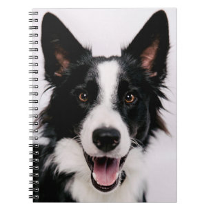 Getty Images Een lachende Border Collie Notitieboek