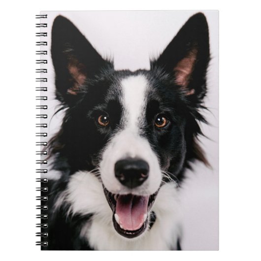 Getty Images | Een lachende Border Collie Notitieboek (Voorkant)