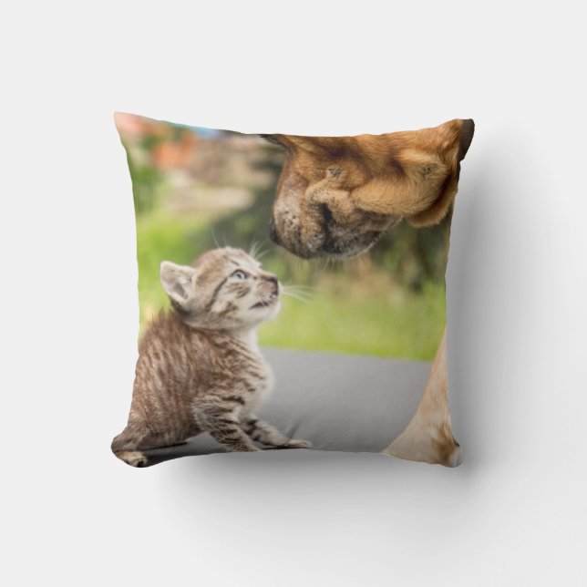 Getty Images | Hond & Kat Verliefd Kussen (Voorkant)
