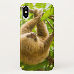 Getty Images   Luiaard Ondersteboven iPhone X Hoesje