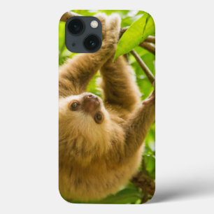Getty Images   Luiaard Ondersteboven iPhone 13 Hoesje