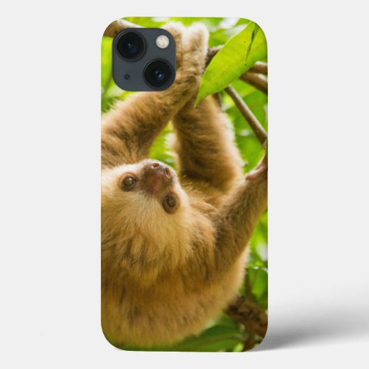 Getty Images | Luiaard Ondersteboven Case-Mate iPhone Case (Achterkant)