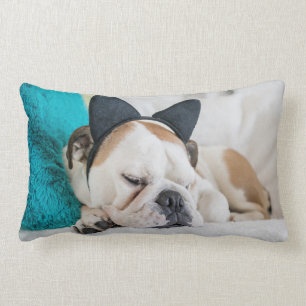 Getty Images Slaperige Hond met Katten Kopband Kussen