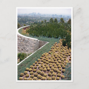 getty museum cacti briefkaart