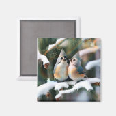 Getuft Titmouse Paar Magneet (Voorkant / Achterkant)