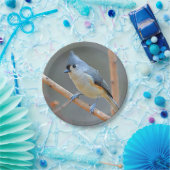 Getuft Titmouse Paper Bord (Feest)