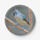 Getuft Titmouse Paper Bord (Voorkant)