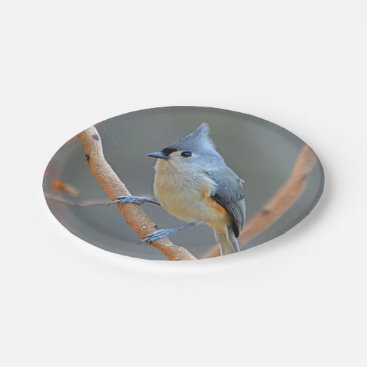 Getuft Titmouse Paper Bord (Gekanteld)
