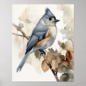 Getufte Titmouse Bird Art Print Poster (Voorkant)