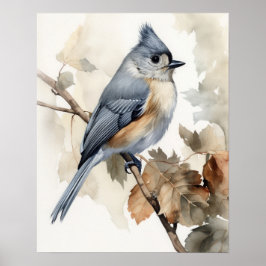 Getufte Titmouse Bird Art Print Poster