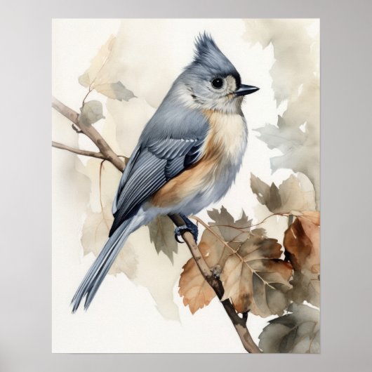 Getufte Titmouse Bird Art Print Poster (Voorkant)