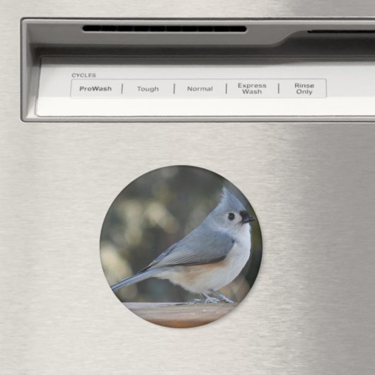 Getufte titmouse fotomagneet magneet (Insitu (Vaatwasser))