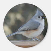 Getufte titmouse fotomagneet magneet (Voorkant)