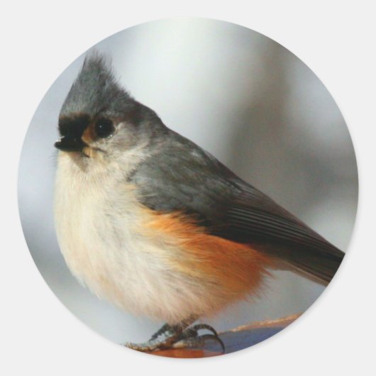 Getufte Titmouse Stickers (Voorkant)