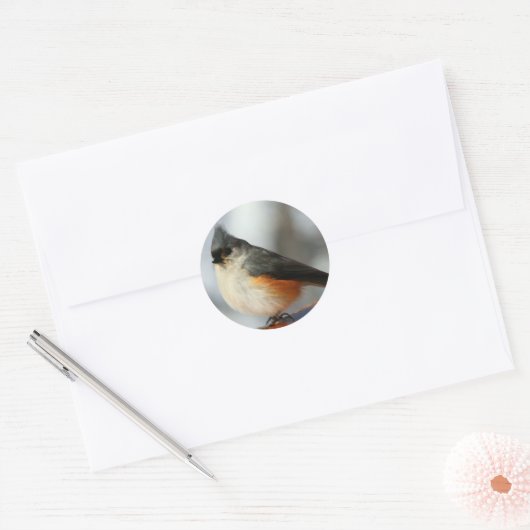 Getufte Titmouse Stickers (Envelop)