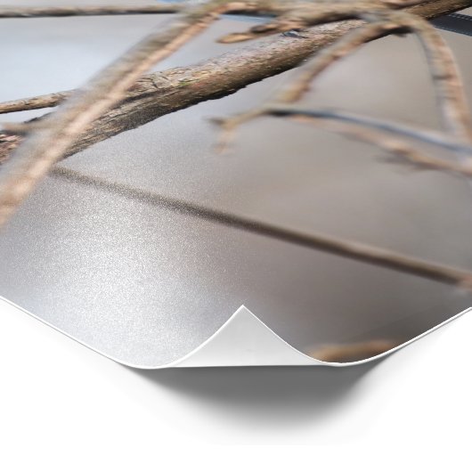 Getufte Titmouse zingen op tak in de late winter Foto Afdruk (Hoek)