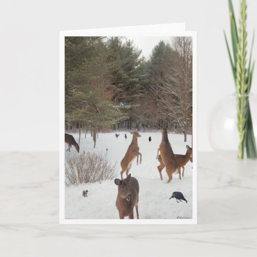 Getuige van Naturen Beauties Kaart (Voorkant)