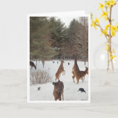 Getuige van Naturen Beauties Kaart (Gele Bloem)