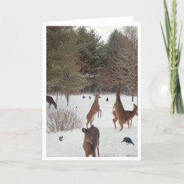 Getuige van Naturen Beauties Kaart