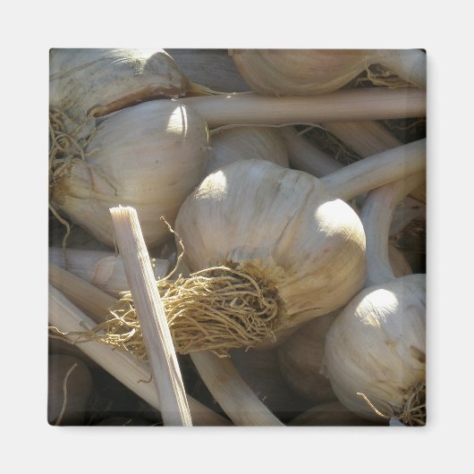 Geur Heerlijk in ruwe vorm Magneet (Voorkant)