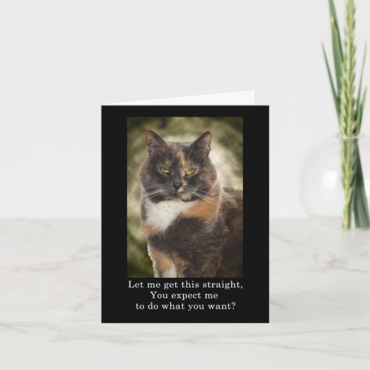 Geur Kat - Doe wat je wilt? Kaart (Voorkant)