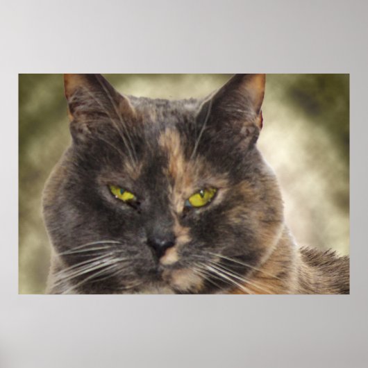 Geur Kat - Doe wat je wilt? Poster (Voorkant)