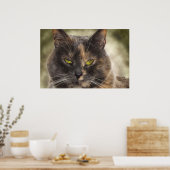 Geur Kat - Doe wat je wilt? Poster (Keuken)