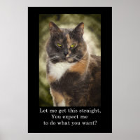 Geur Kat - Doe wat je wilt?