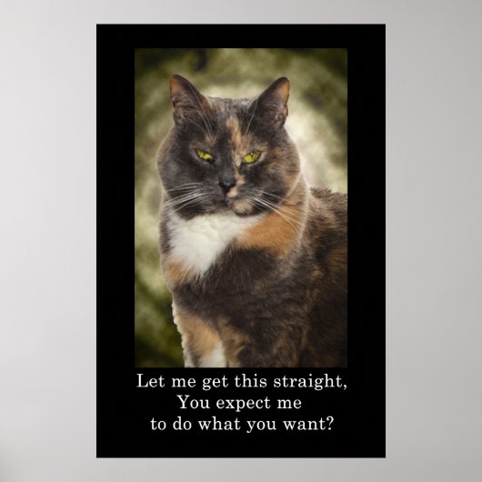 Geur Kat - Doe wat je wilt? Poster (Voorkant)