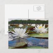 Geurende Waterlelie (Nymphaea Odorata) in Caddo Briefkaart (Voorkant / Achterkant)