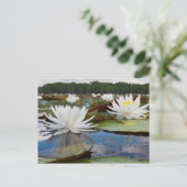 Geurende Waterlelie (Nymphaea Odorata) in Caddo Briefkaart (Staand voorkant)