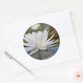 Geurende Waterlelie (Nymphaea Odorata) in Caddo Ronde Sticker (Envelop)