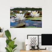Geurende Waterlelie (Nymphaea Odorata) Op Caddo Poster (Thuiskantoor)