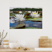 Geurende Waterlelie (Nymphaea Odorata) Op Caddo Poster (Keuken)