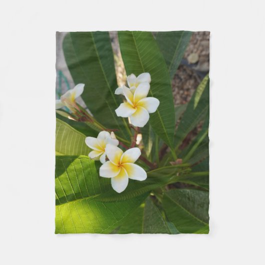 Geurige Frangipani Bloemen Fleece Deken (Voorkant)