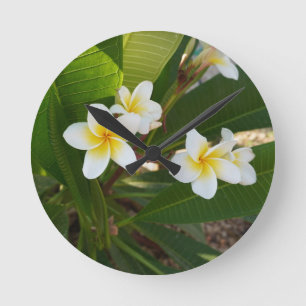 Geurige Frangipani Bloemen Ronde Klok