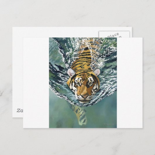 Gevaar Ahoy. Briefkaart (Voorkant / Achterkant)