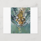 Gevaar Ahoy. Briefkaart (Voorkant)